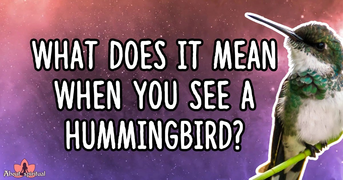 What does it mean when you see a hummingbird? Meaning and Symbolism