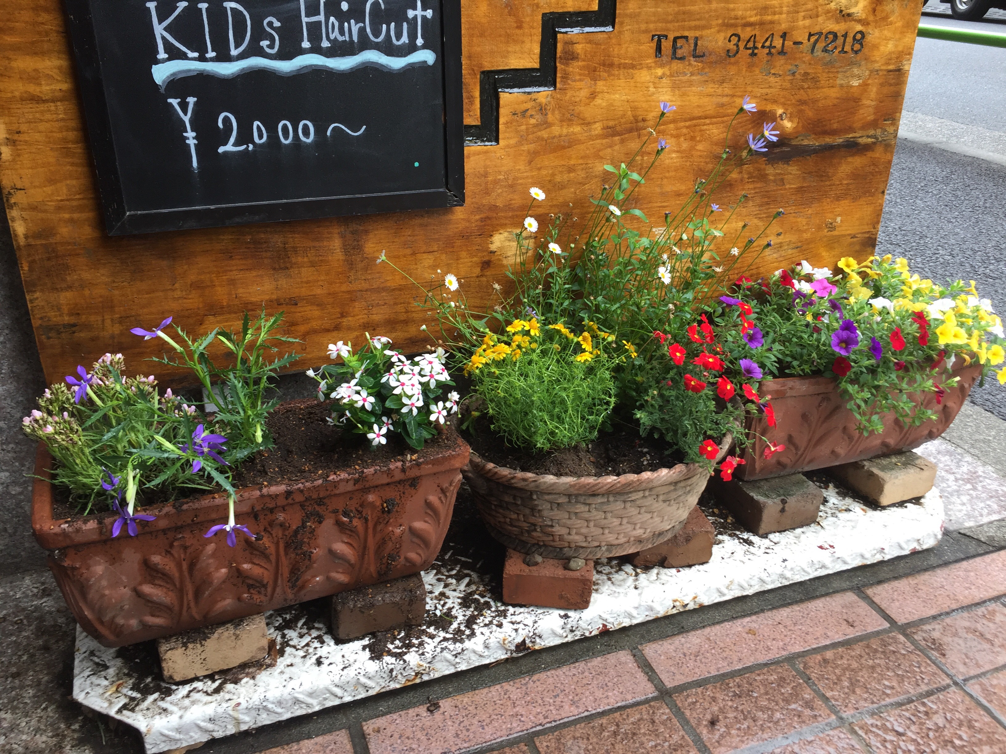 Our new summer flowers International hair salon A Cut Above(Hiroo sta