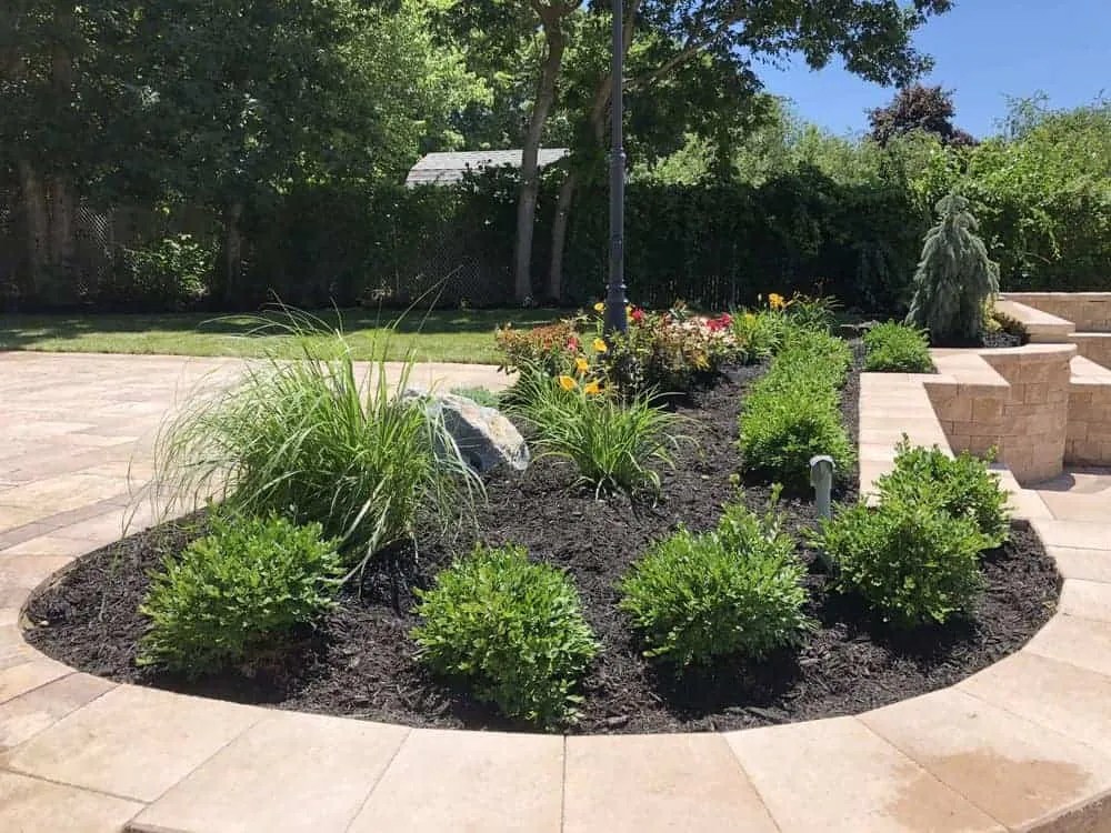 Best Plants to Choose for Your Botanical Garden Landscape Design in