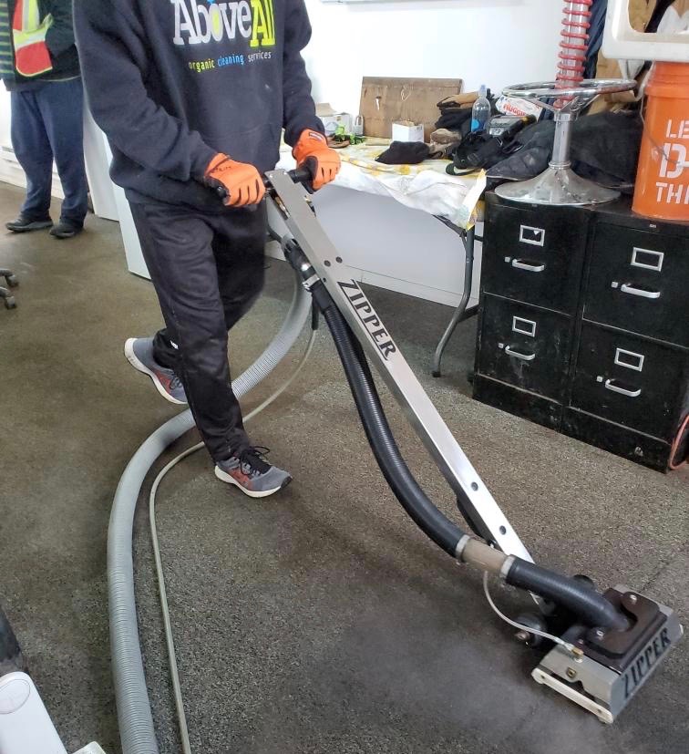 What To Expect From A Professional Carpet Cleaning Service