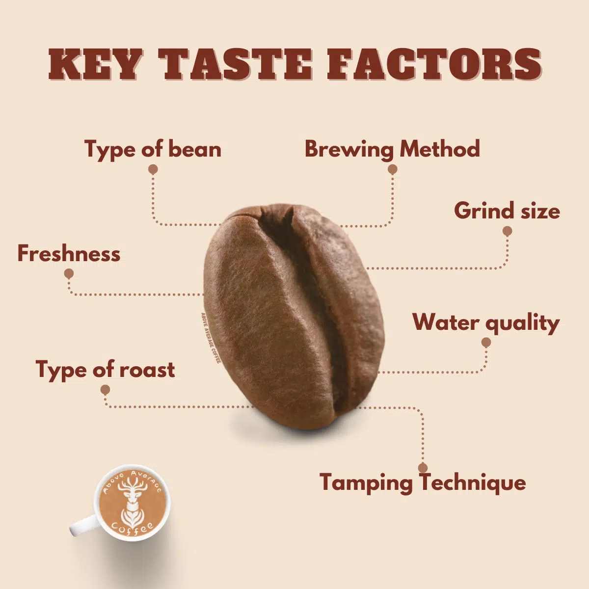 7 Factors That Affect The Taste Of Coffee Above Average Coffee