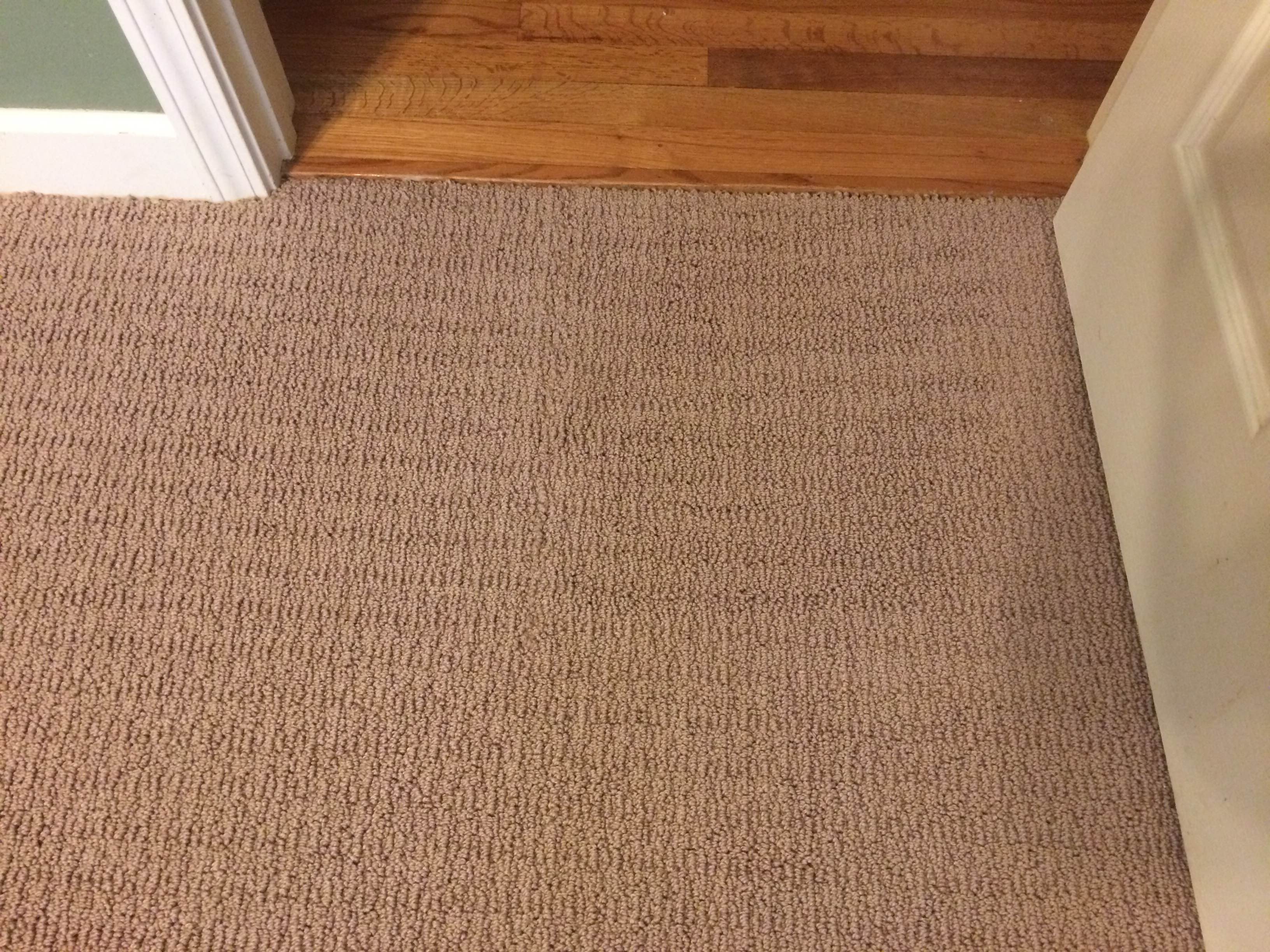 Before & After Photos of Carpet Cleaning, Upholstery Cleaning & Carpet