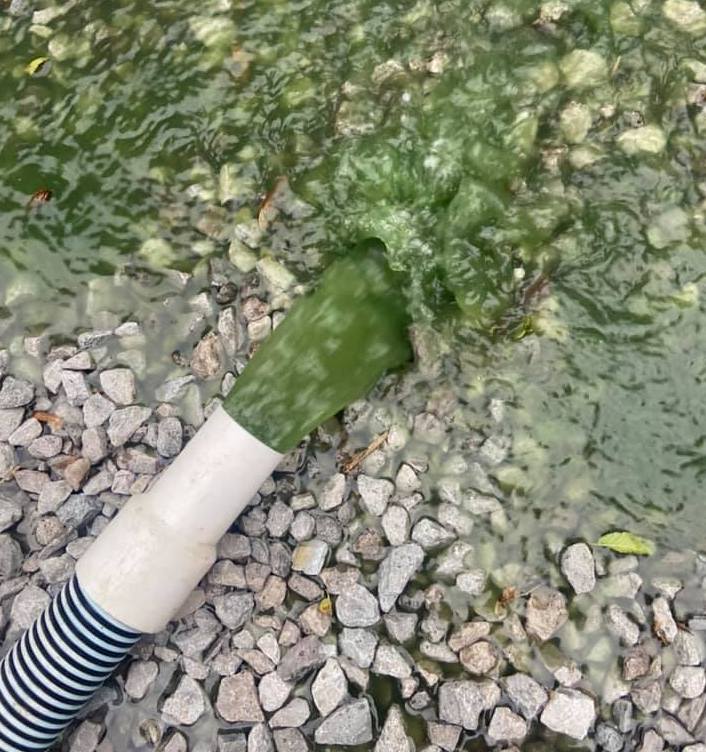 backwash from above ground pool