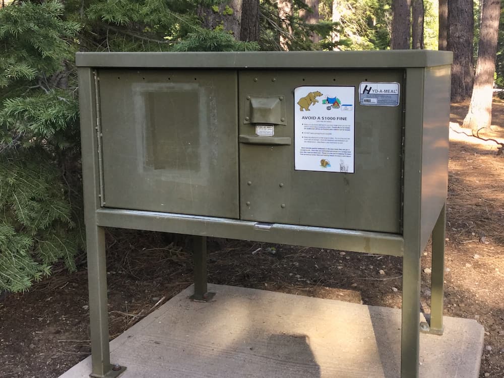 Why Using A Bear Box Is A Matter Of Life And Death