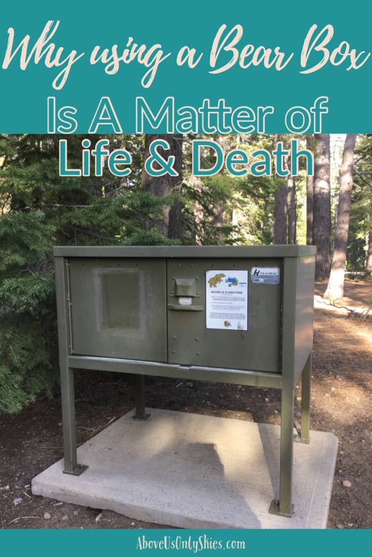 Why Using A Bear Box Is A Matter Of Life And Death