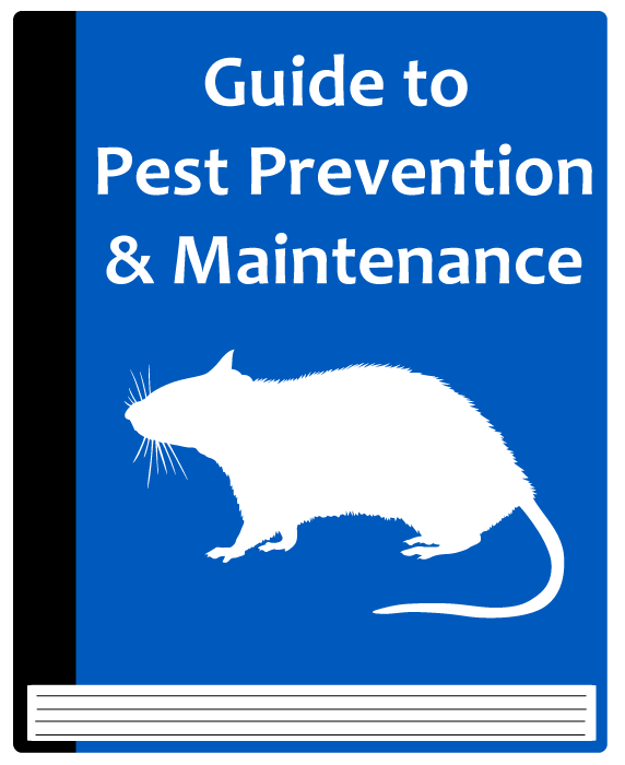 The Commercial Property Manager’s Guide To Pest Prevention & Maintenance