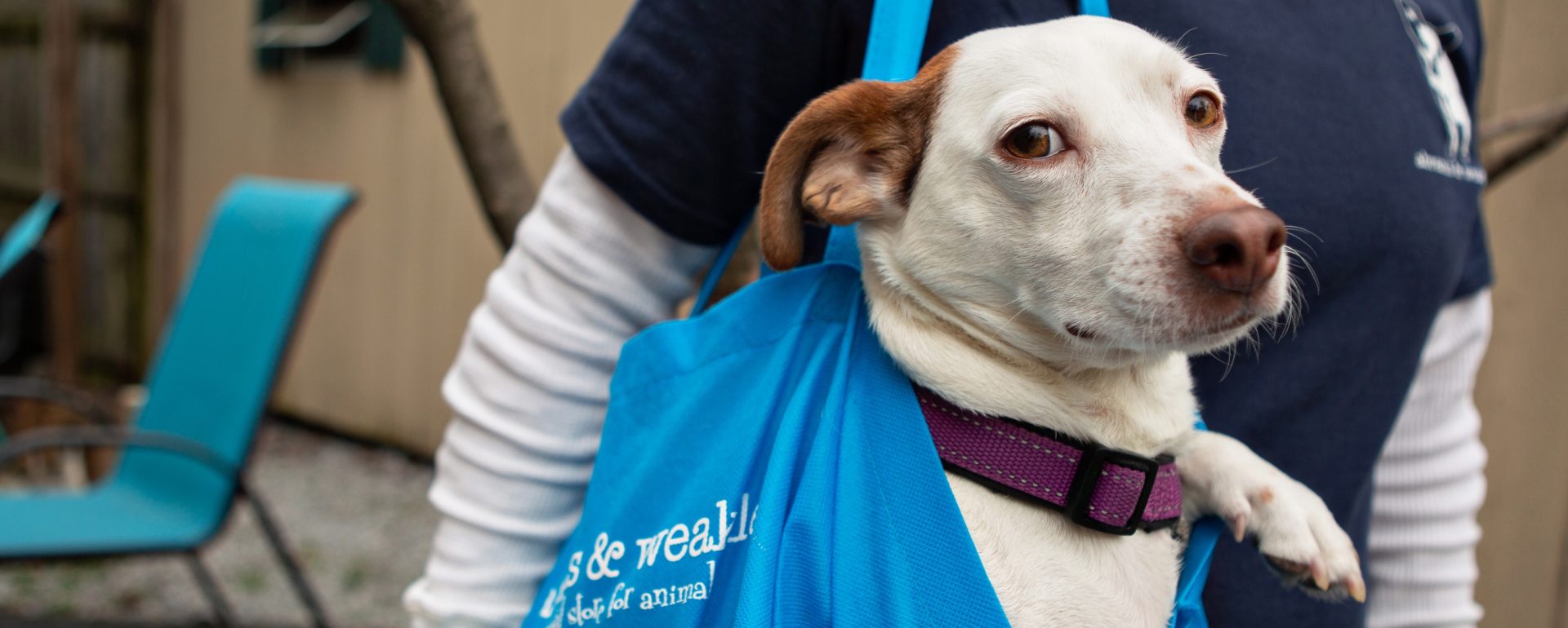 Abrams & Weakley General Store for Pets