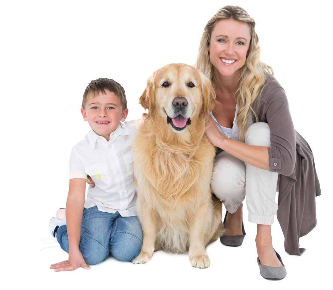 Abrams Royal Animal Clinic Lake Highlands Dallas, Texas