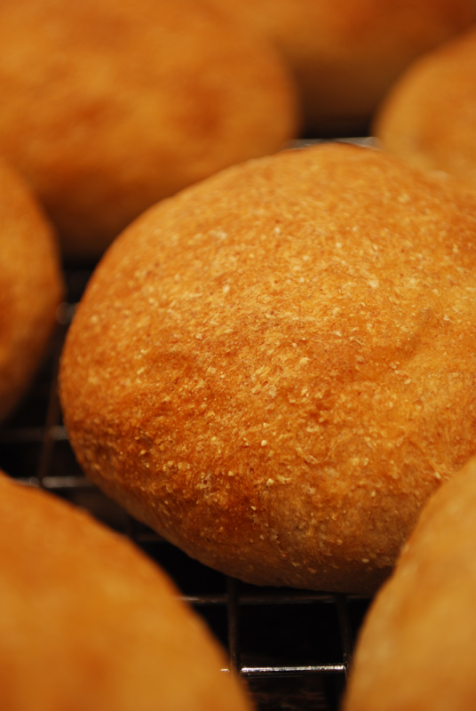 Whole Wheat Sandwich Rolls A Bread A Day