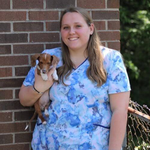 WinstonSalem, NC 27127 Veterinarians Abri Veterinary Hospital