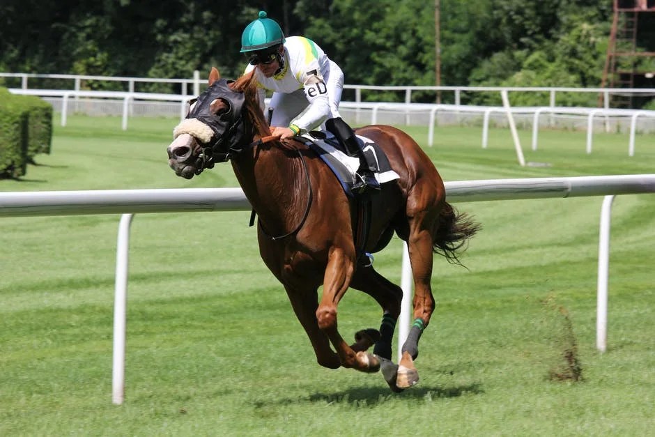 How to Bet on Horse Races A Beginner’s Guide Abrition