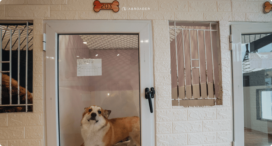 ESSENTIAL GUIDES FOR BRINGING PETS TO VIETNAM ABROADER