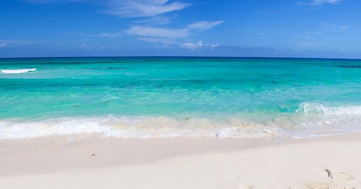 Best Time To Visit Cozumel 2024