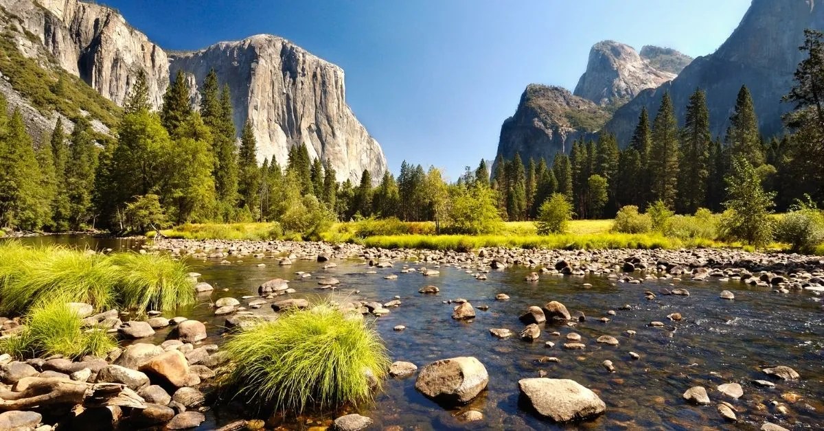 Yosemite VS Yellowstone Which One Is Better? 2024