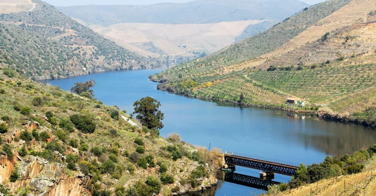 Is Porto Worth Visiting? 2023