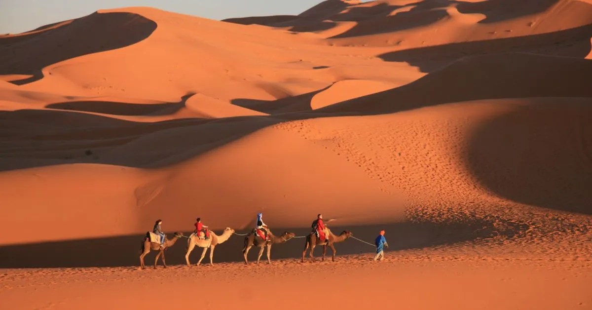 Morocco SIM Card Everything You Need To Know 2024