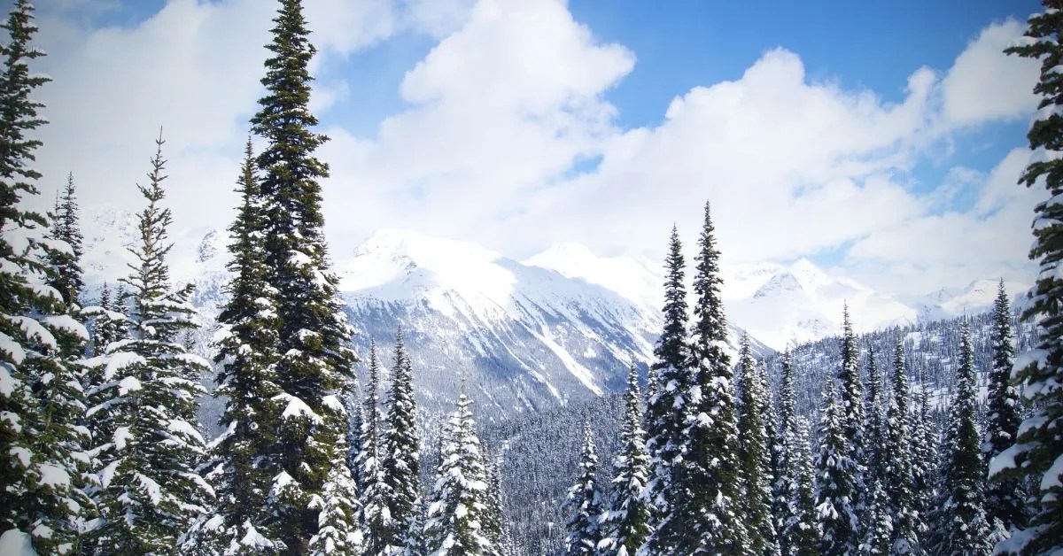 Is Canada A Good Place To Live? 2024