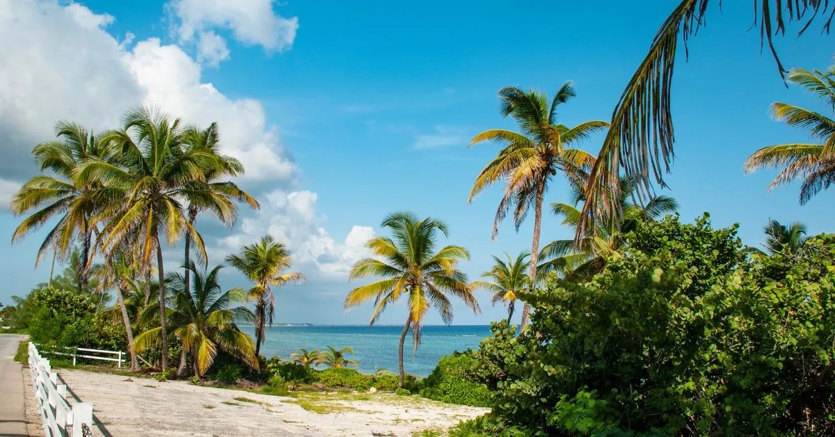 Cayman Islands SIM Cards Everything You Need To Know 2024