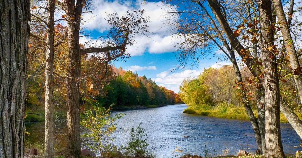 Best Family Activities In Wisconsin 2024