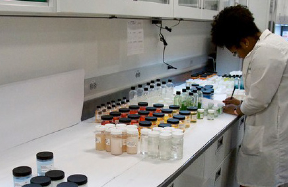 Fragrance Development Center Automated Building Solutions