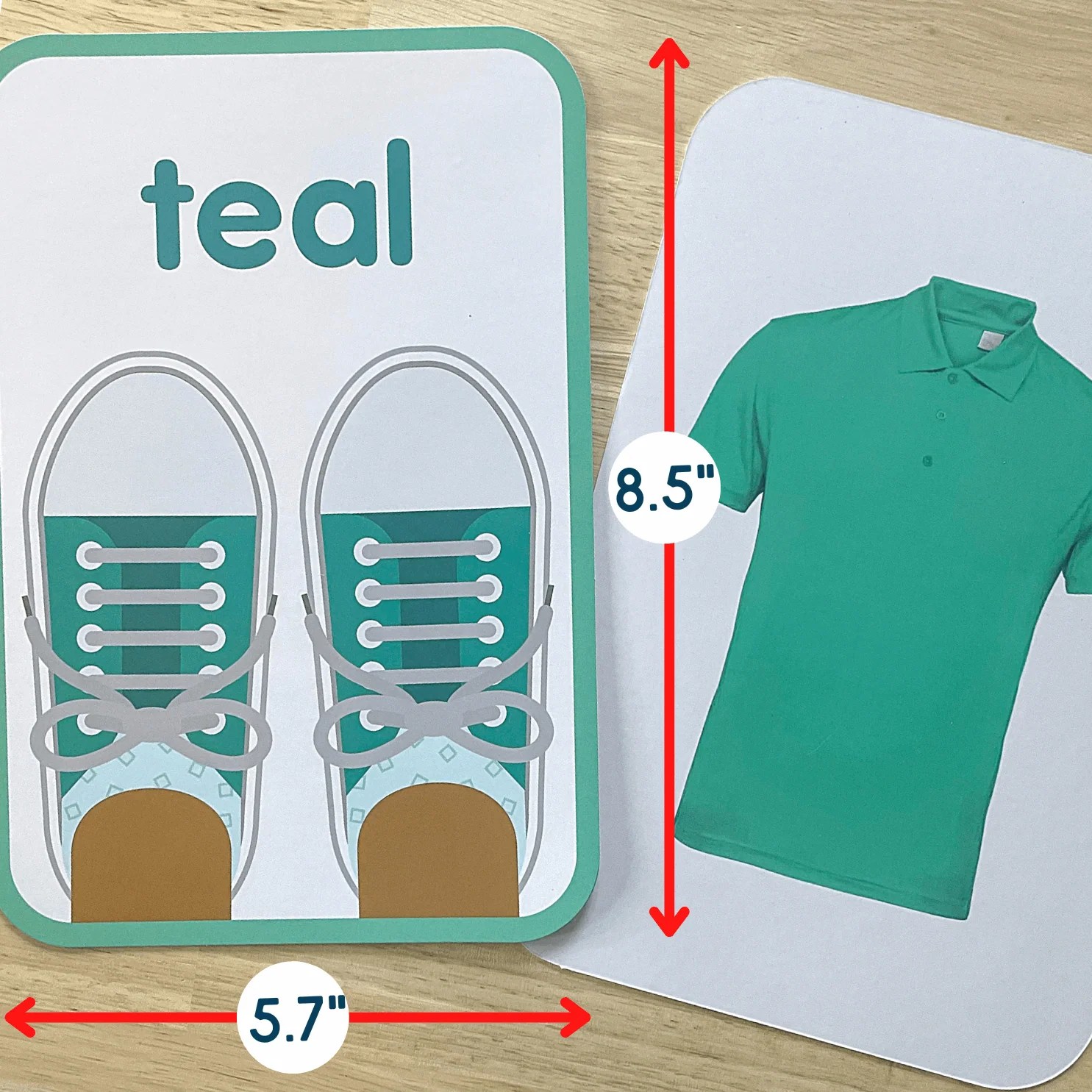 Colors Bulletin Board Set Teaching Colors to Preschoolers & Toddlers ABSee Me