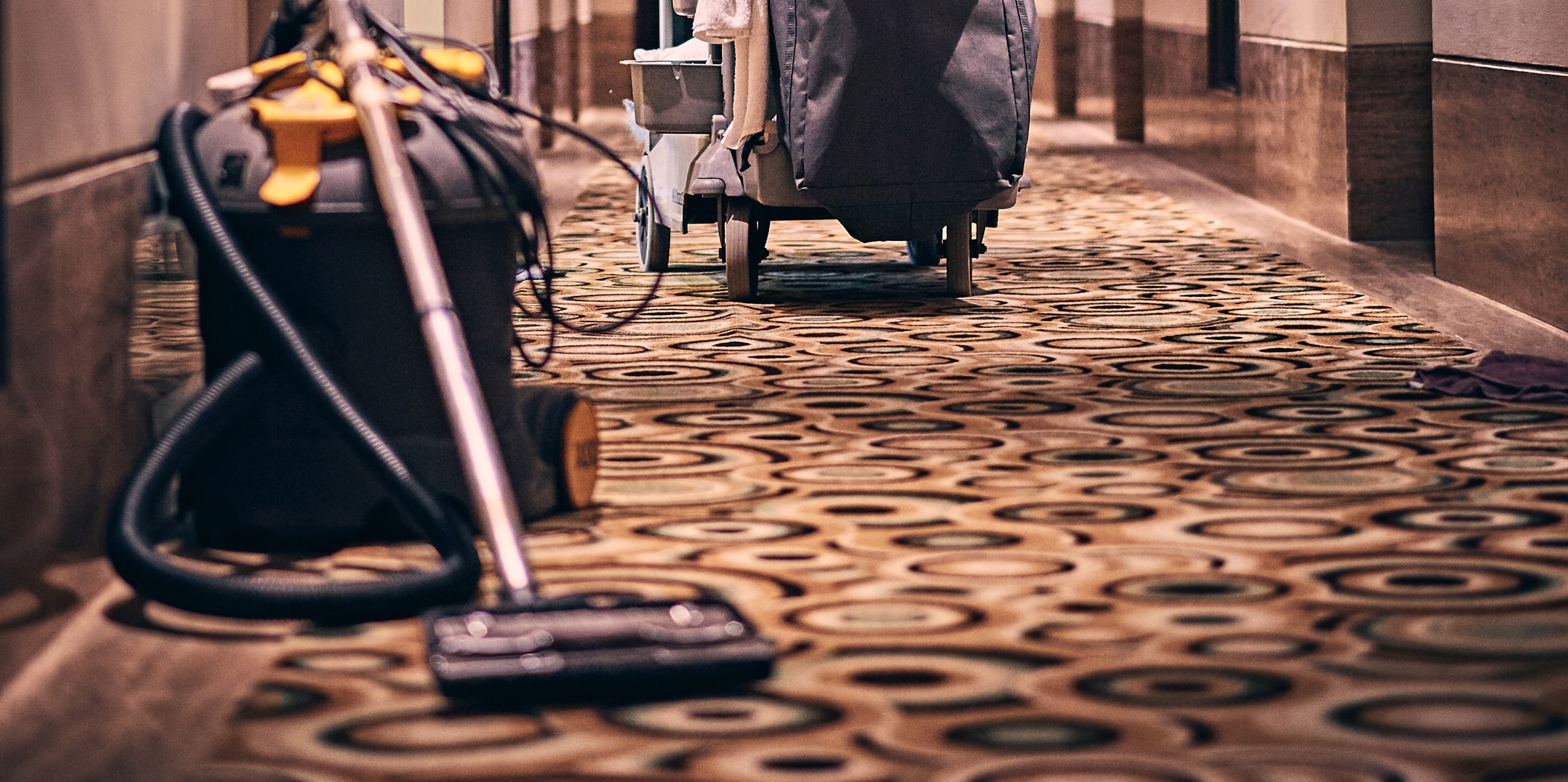 Vacuum Cleaning Absolute Janitorial Services