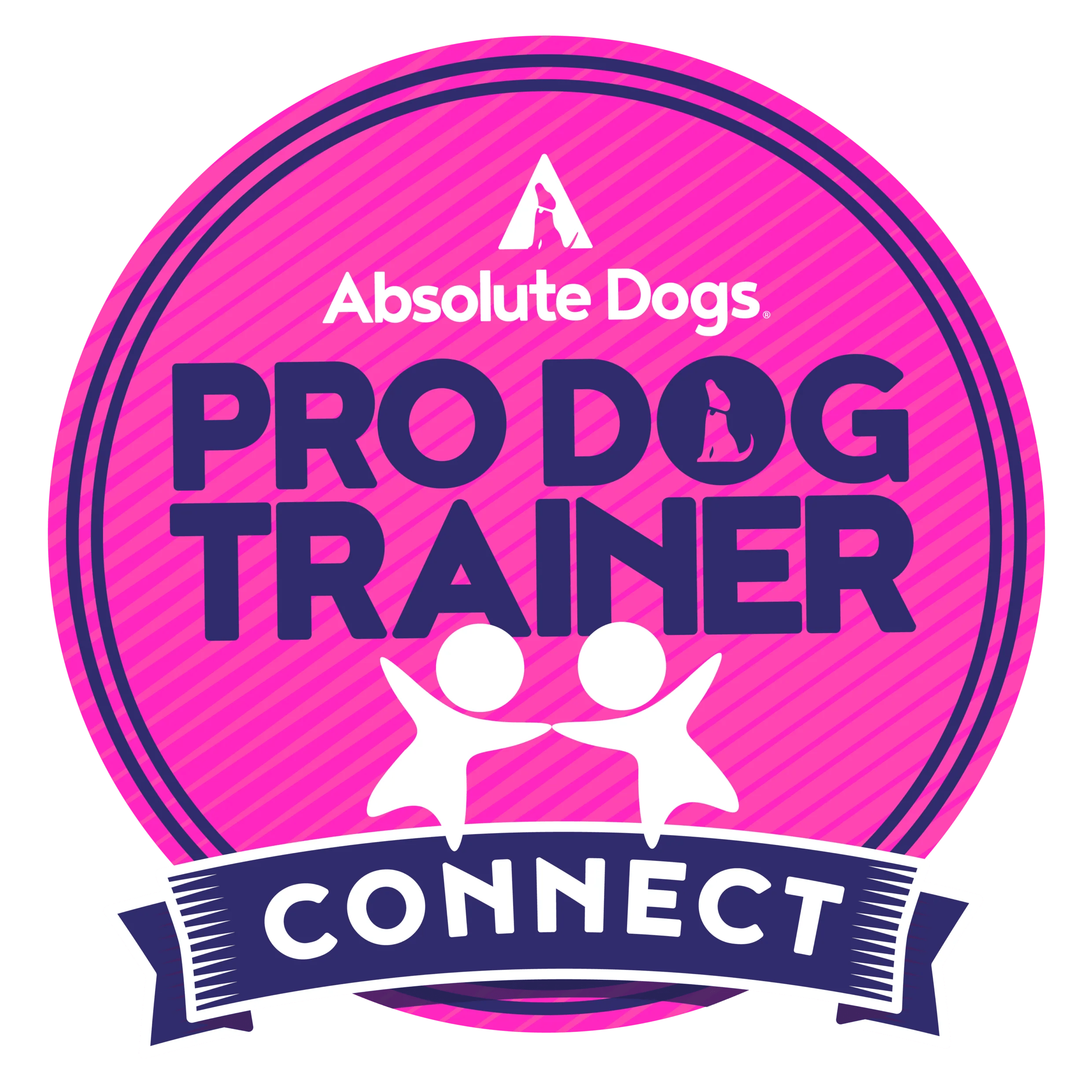 Remote Online Dog Training Consultation with Absolute Dogs