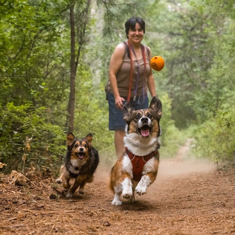 Ruffwear Turnup Rubber Throw Dog Toy AbsoluteSnow