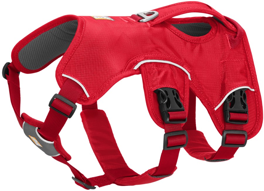 Ruffwear master Dog Harness with Handle AbsoluteSnow