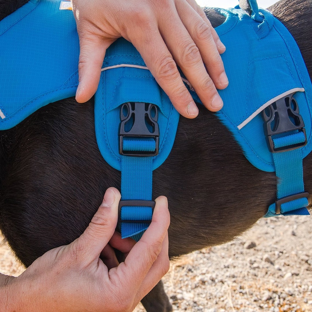 Ruffwear master Dog Harness with Handle AbsoluteSnow