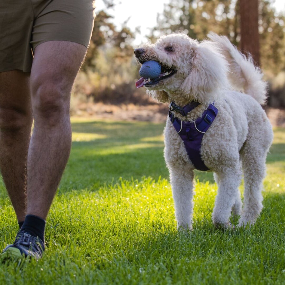 Ruffwear Turnup Rubber Throw Dog Toy AbsoluteSnow