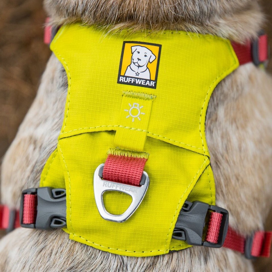 Ruffwear Hi & Light Harness Dog Harness AbsoluteSnow