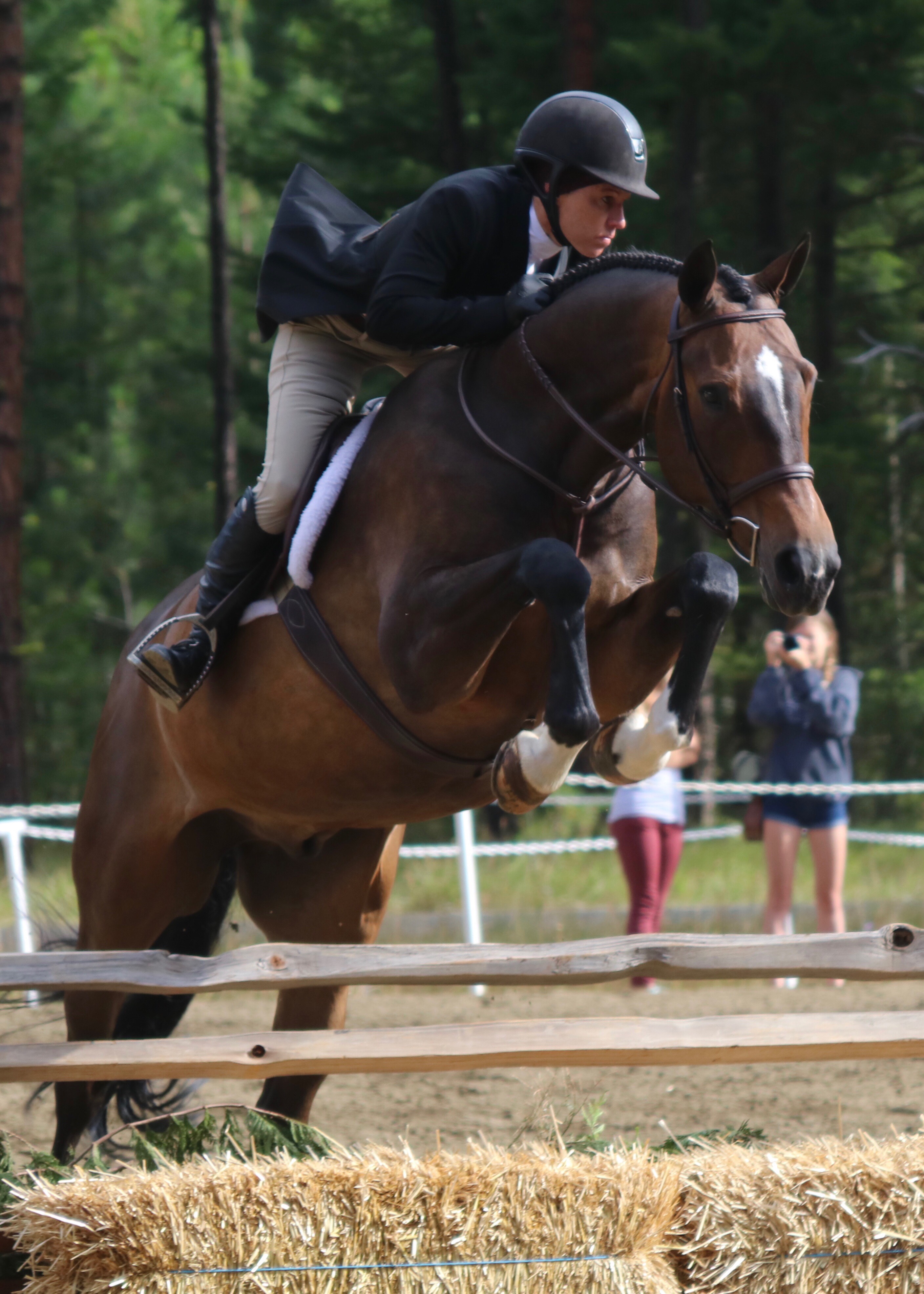 Training Absolute Hunter/Jumpers