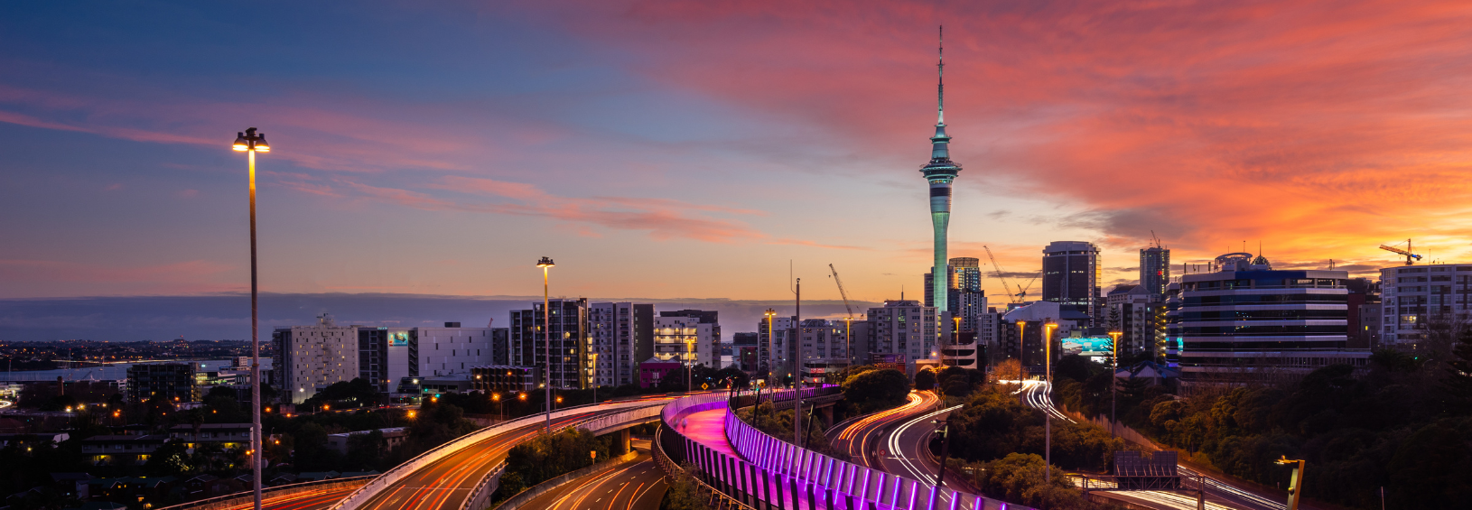Insights from the Latest Auckland Job Market Report Absolute IT