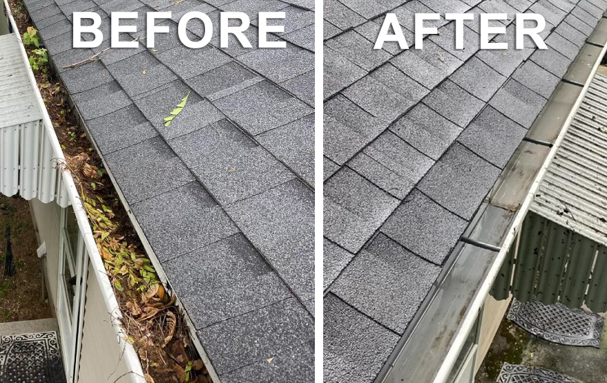 Gutter Cleaning & Gutter Screen Installation Absolutely Clean Services