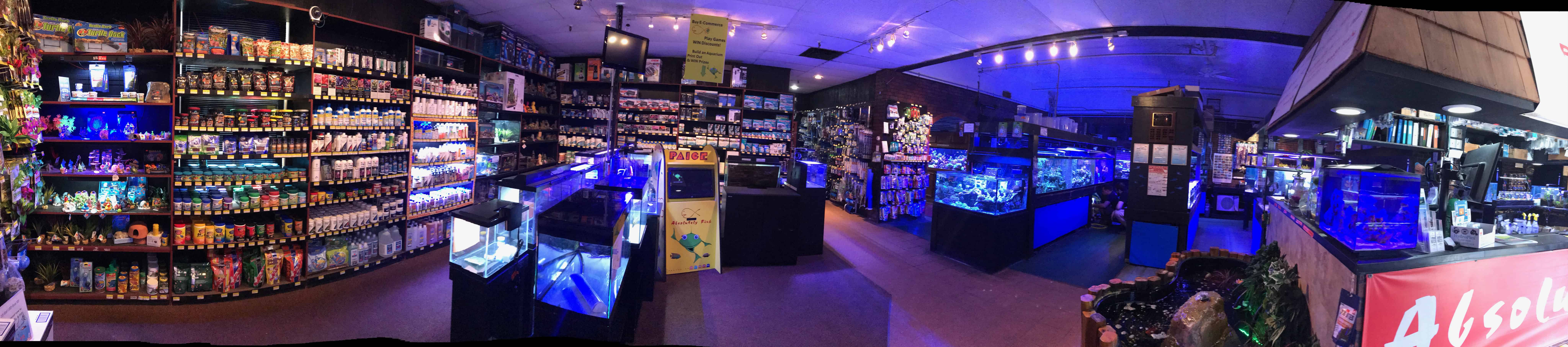 Absolutely Fish New Jersey's supplier of reef aquarium, natural