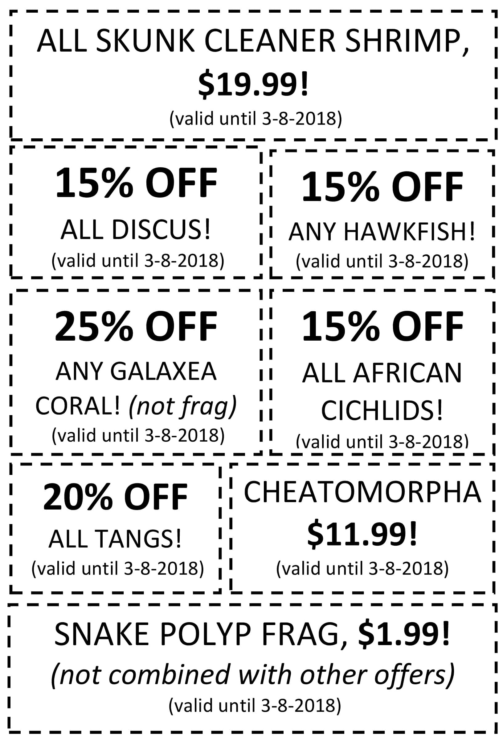 Absolutely Fish This Week’s Coupon Absolutely Fish