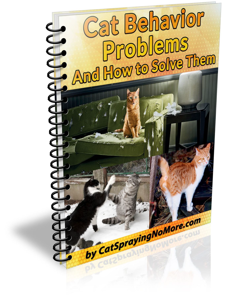 Cat Behavior Problems & How To Solve Them Absolutely Hot Stuff