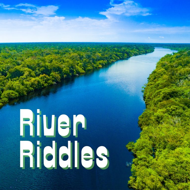 Beach Riddles Absolutely Jokes & Puns