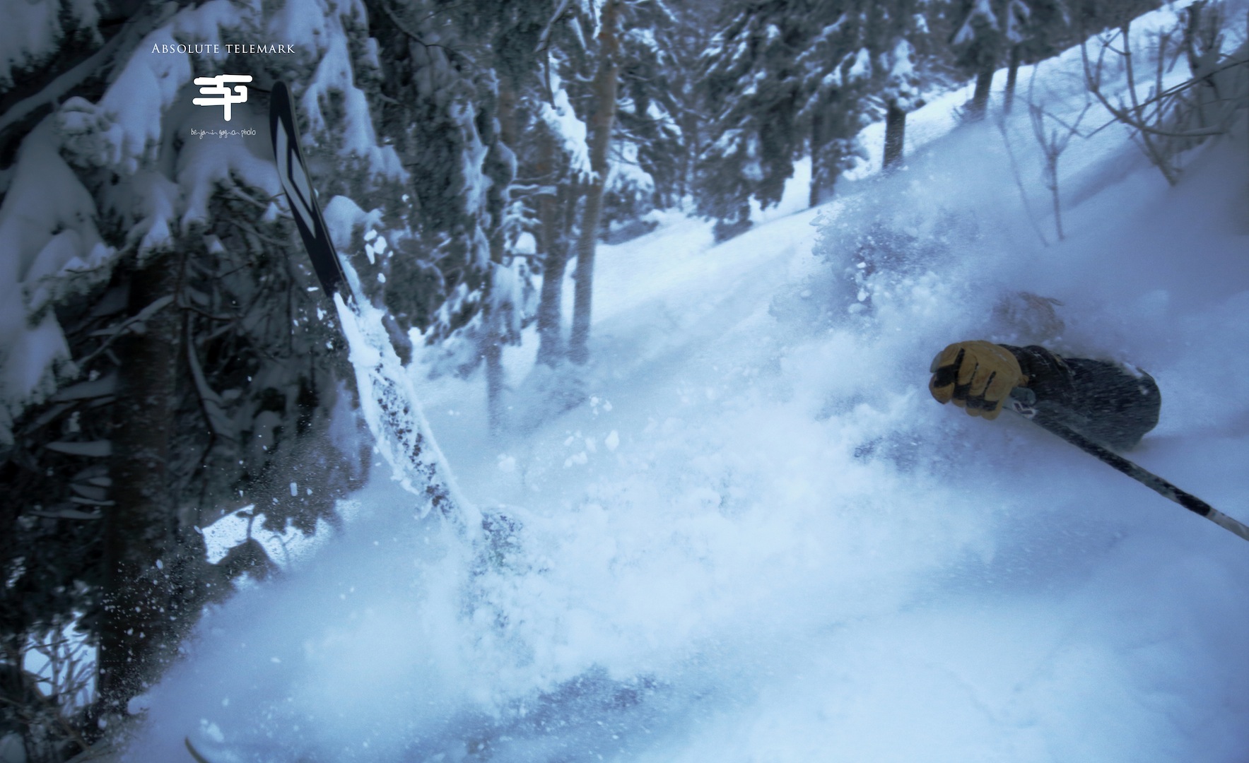 where to look Absolute Telemark