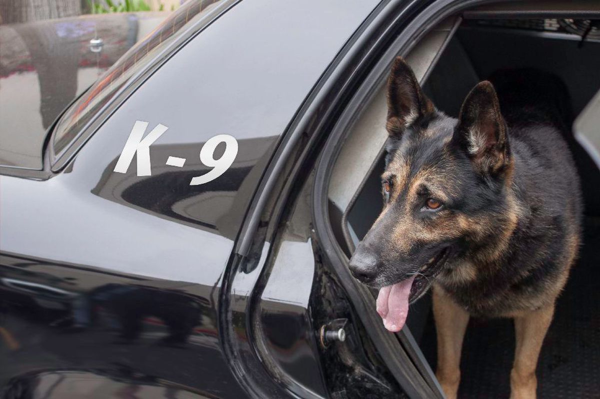 K9 Supplies ABS Police Equipment