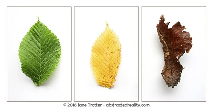 The different types of Triptychs