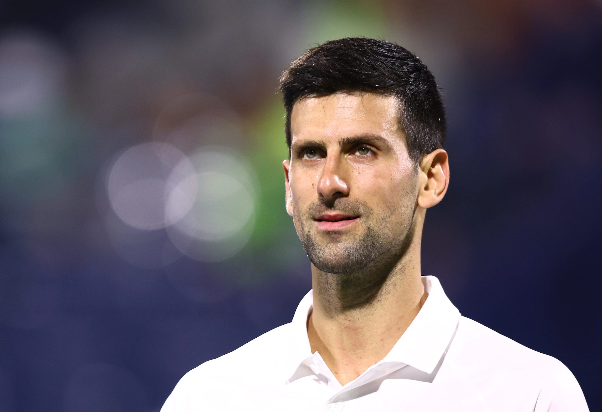 How many languages can Novak Djokovic speak? Does Djokovic speak 11