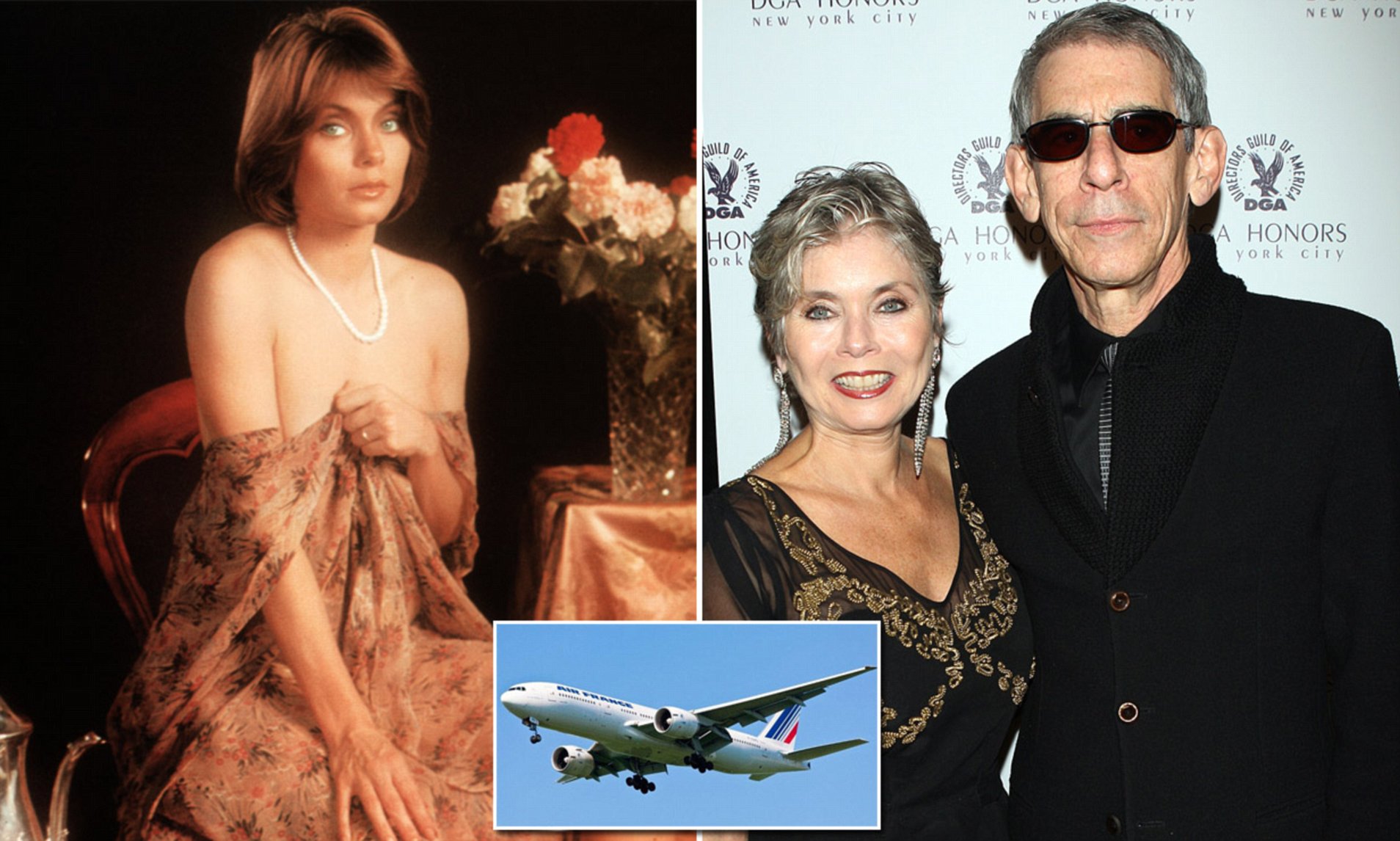 Harlee McBride Who Is Richard Belzer's Third Wife? ABTC