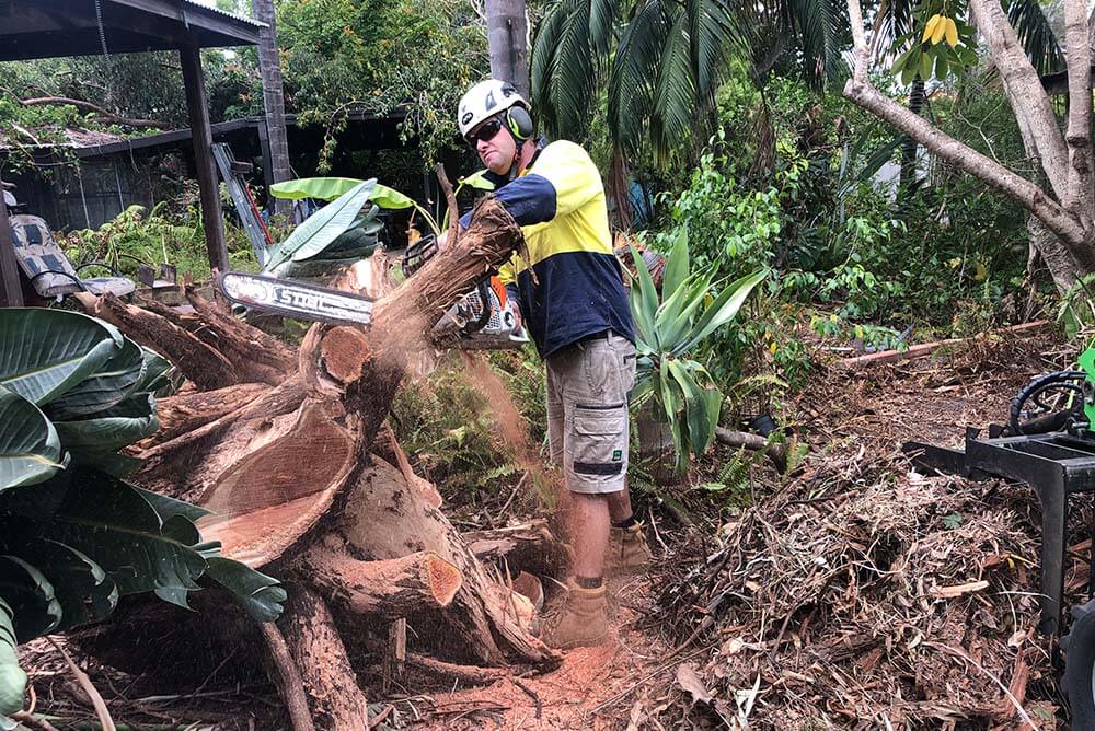 Arborist jobs Perth Career as a Tree Surgeon & tree lopping work