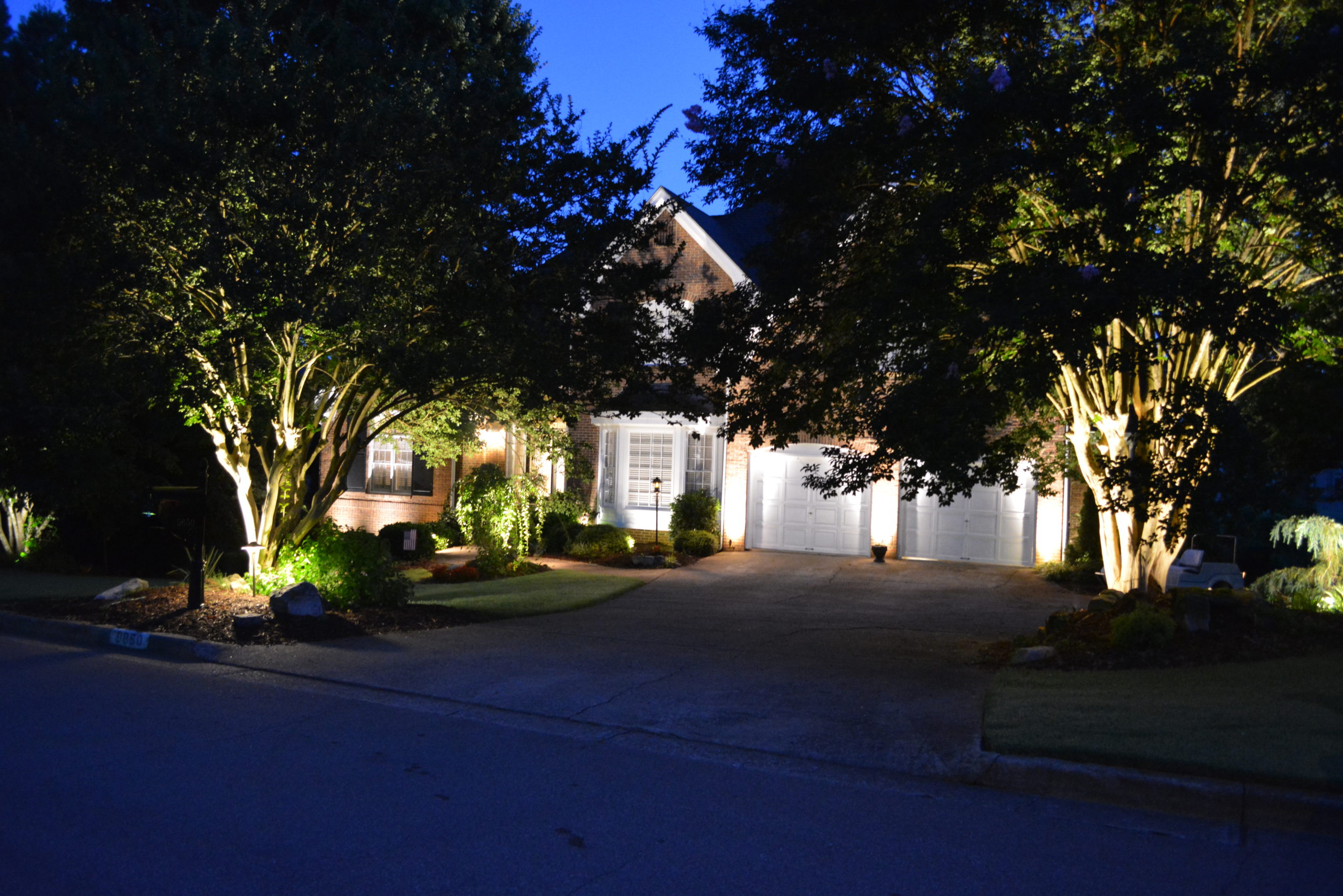 How to Uplight Trees Abulous Lighting Abulous Lighting