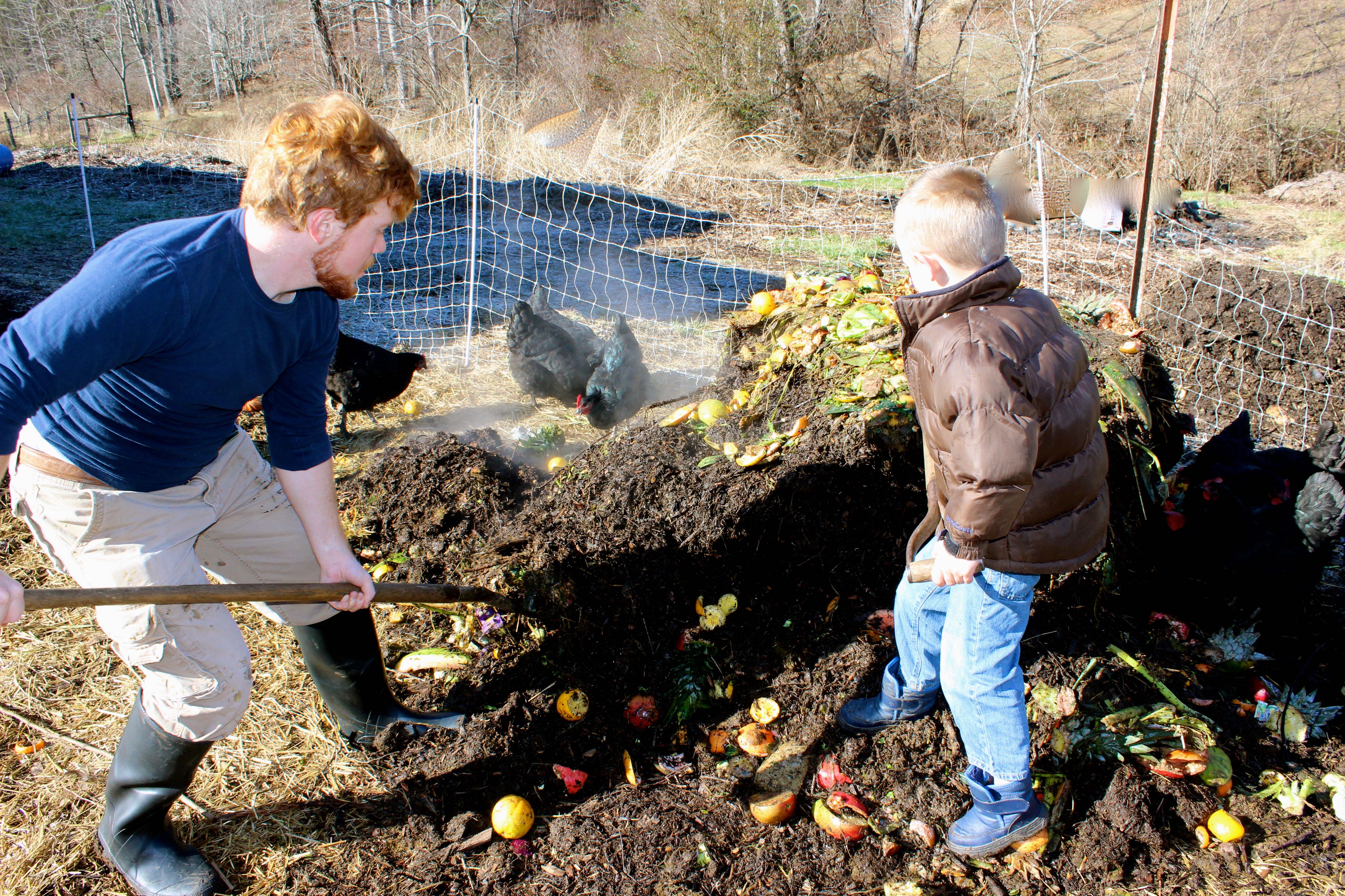 48 Ways to Keep Your Chickens Happy this Winter! Abundant Permaculture