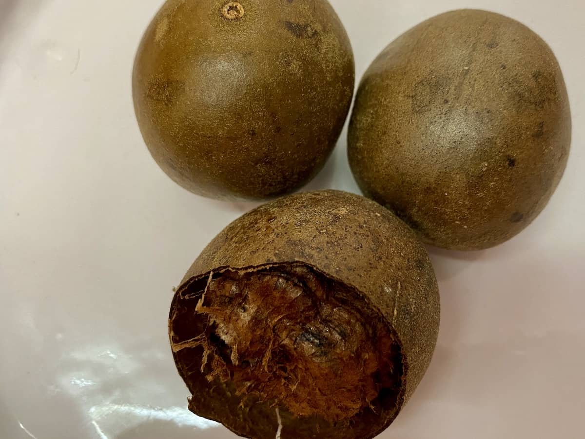 What is Monk Fruit Sugar? A Bus On a Dusty Road