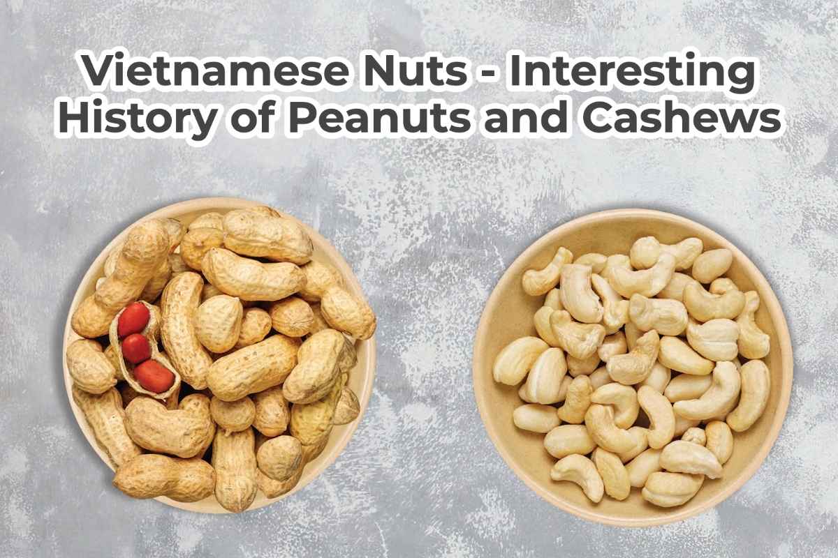 Vietnamese Nuts Interesting History of Peanuts and Cashews A Bus On