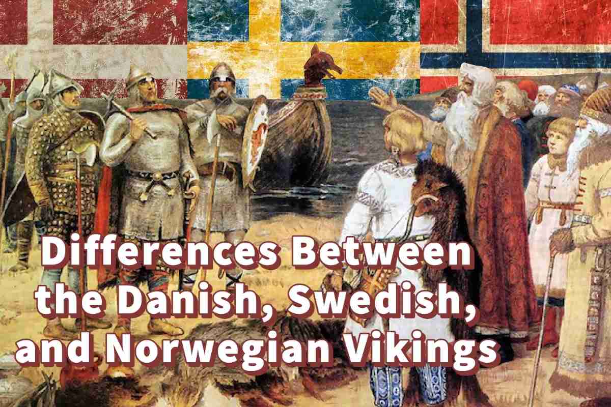 Differences Between the Danish, Swedish, and Norwegian Vikings A Bus